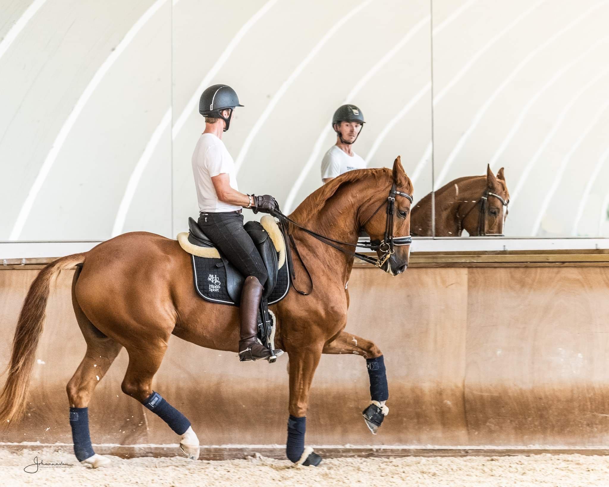 Kouluratsastaja maneesissa